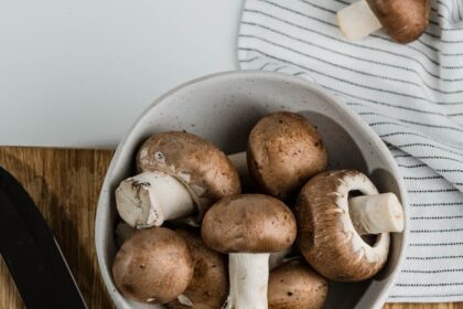 Benefits of Mushrooms