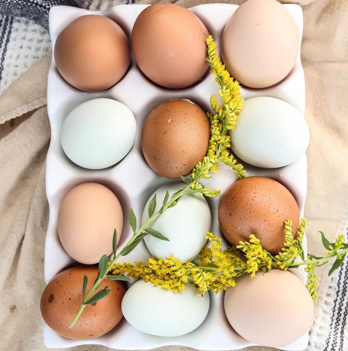 Boiled Egg Diet